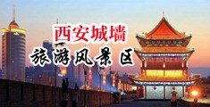 巨屌插黑丝中国陕西-西安城墙旅游风景区
